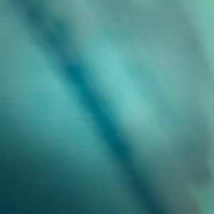 Meet your Posher, Makenzie